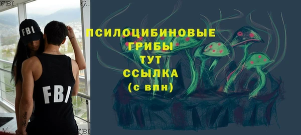 соль ск Алексин