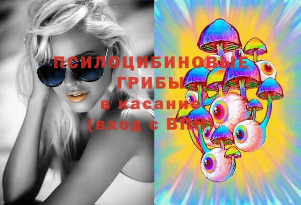 стафф Алзамай
