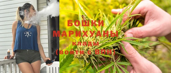 соль ск Алексин