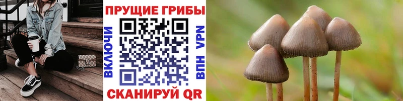 Псилоцибиновые грибы Psilocybine cubensis  hydra маркетплейс  Томск 